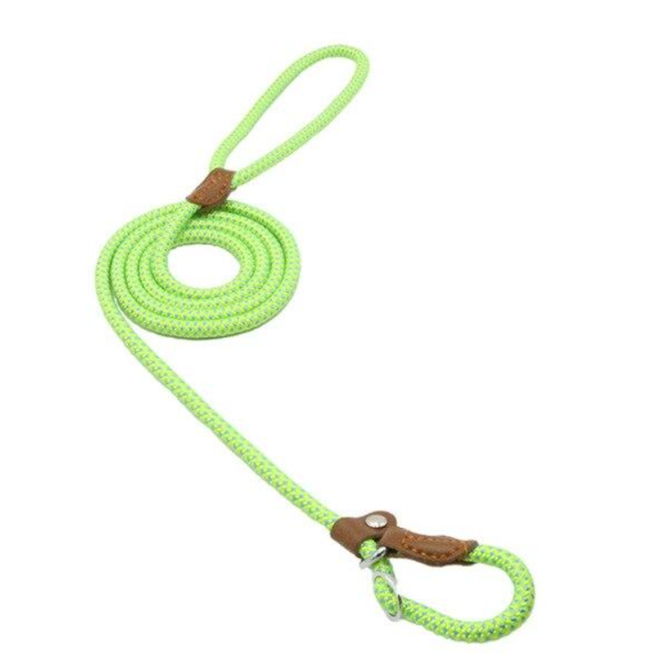 Nylon Braided Training Slip Leash
