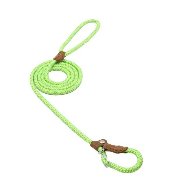 Nylon Braided Training Slip Leash
