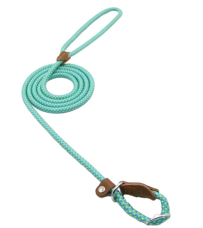 Nylon Braided Training Slip Leash