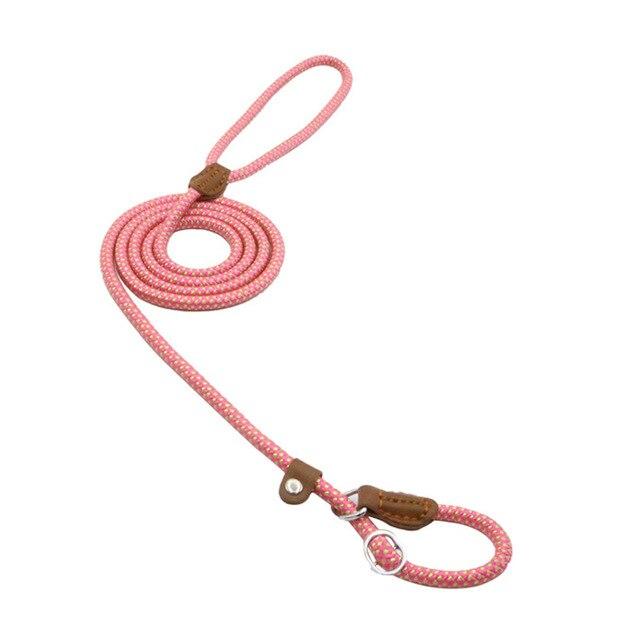 Nylon Braided Training Slip Leash