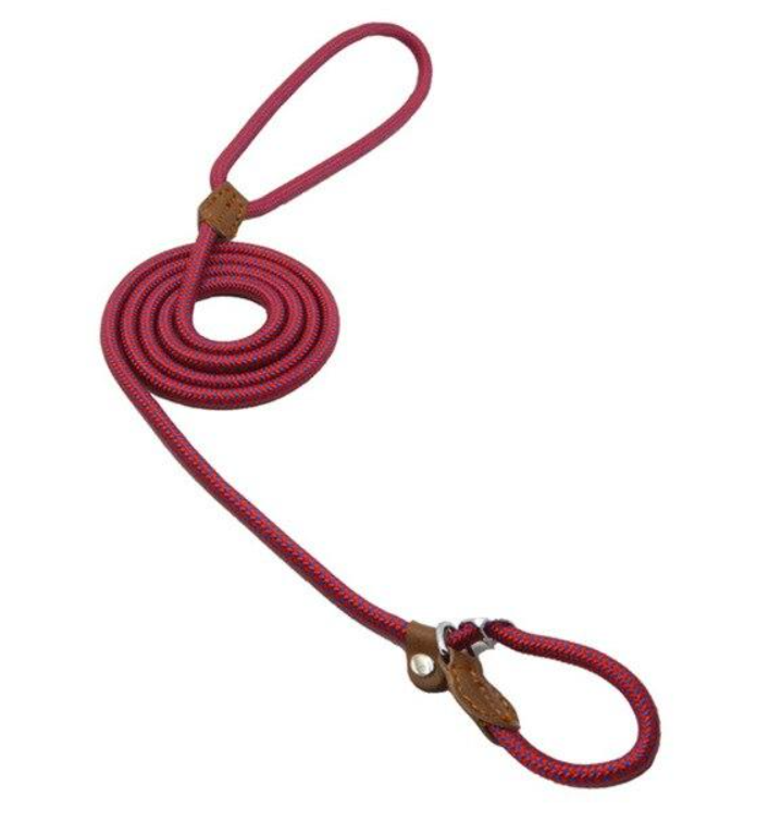 Nylon Braided Training Slip Leash