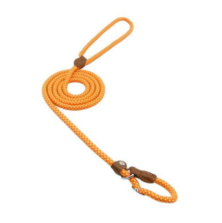 Nylon Braided Training Slip Leash