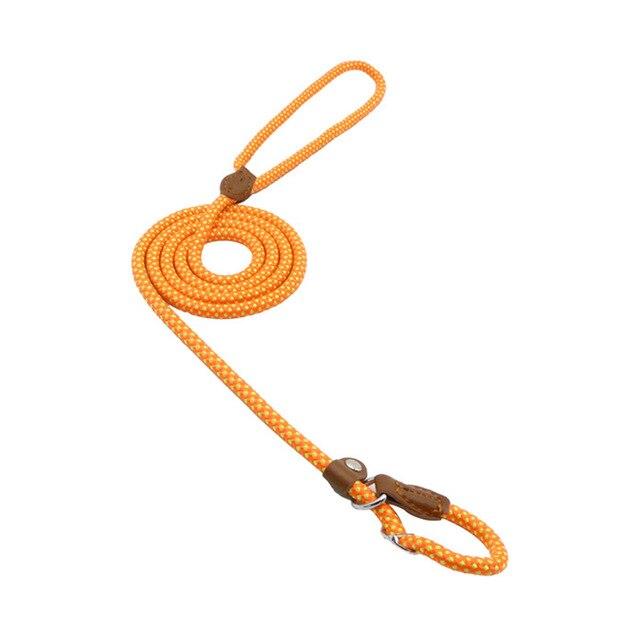 Nylon Braided Training Slip Leash