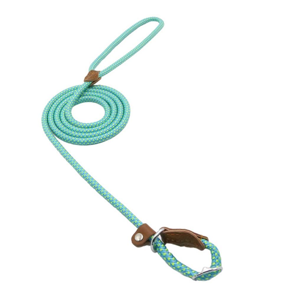 Nylon Braided Training Slip Leash