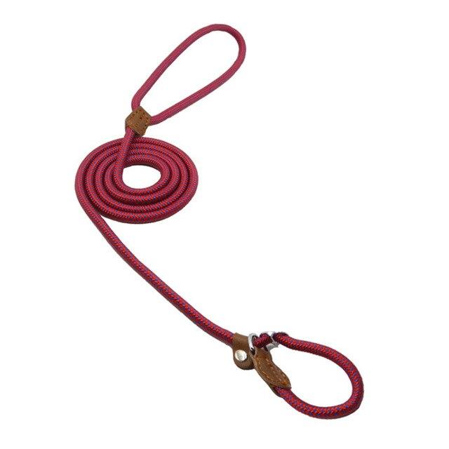 Nylon Braided Training Slip Leash
